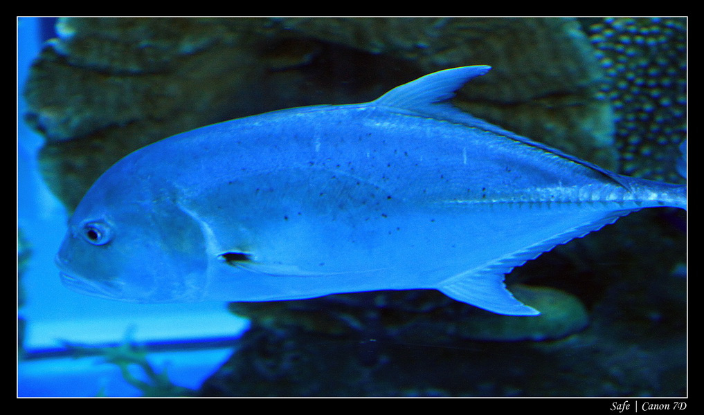 2012 - 06 - Dubai - 146